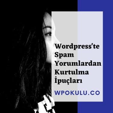 WordPress’te Spam Yorumlardan Kurtulma İpuçları