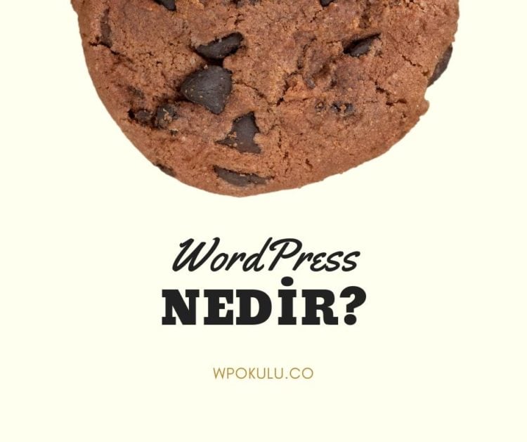 WordPress Nedir? | WordPress ile Hala Tanışmadınız mı? WP Okulu