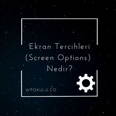 Ekran Tercihleri(Screen Options) Nedir?