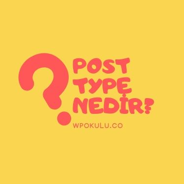 Post Type (Yazı Biçimi) Nedir?