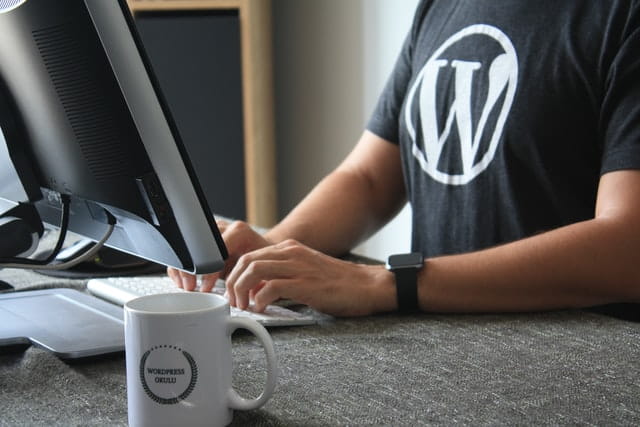 WordPress Tema ve Eklenti Geliştirmek